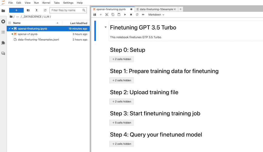 Fine Tuning LLM (OpenAI GPT) with Custom Data in python 